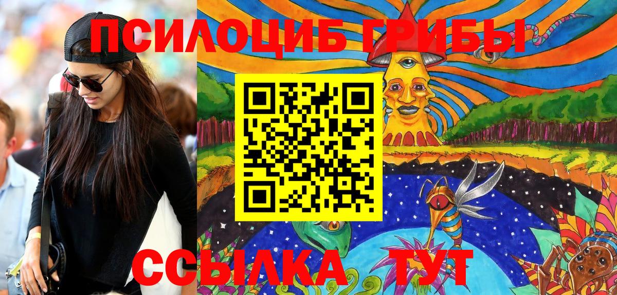 Кизилюрт  Галлюциногенные грибы Psilocybine cubensis  Вход с VPN 